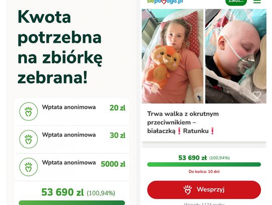 Zakończyli zbiórkę w 3h! Anonimowy darczyńca wpłacił 5000zł