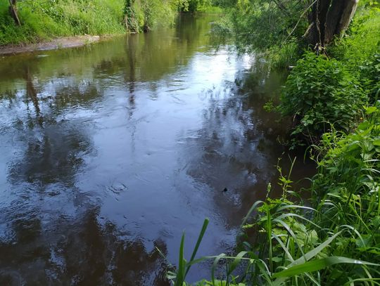 Zwłoki mężczyzny wyłowiono dziś ze Zgłowiączki. Natknął się na nie kajakarz. Czy to zaginiony Kamil?