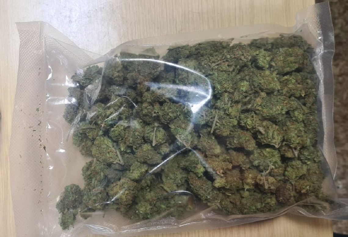 10 lat grozi włocławianinowi za 120 gram marihuany, znalezionych u niego w mieszkaniu 