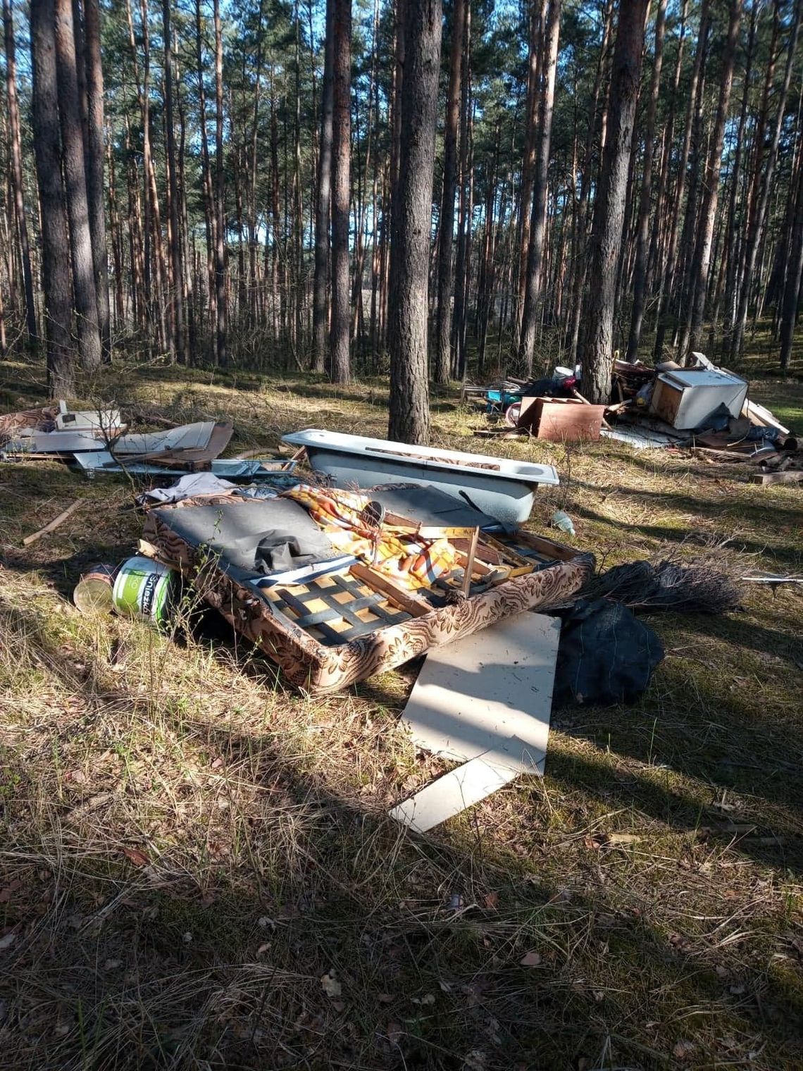 1000 zł mandatu i obowiązek posprzątania dla mężczyzny, który wyrzucał śmieci w lesie