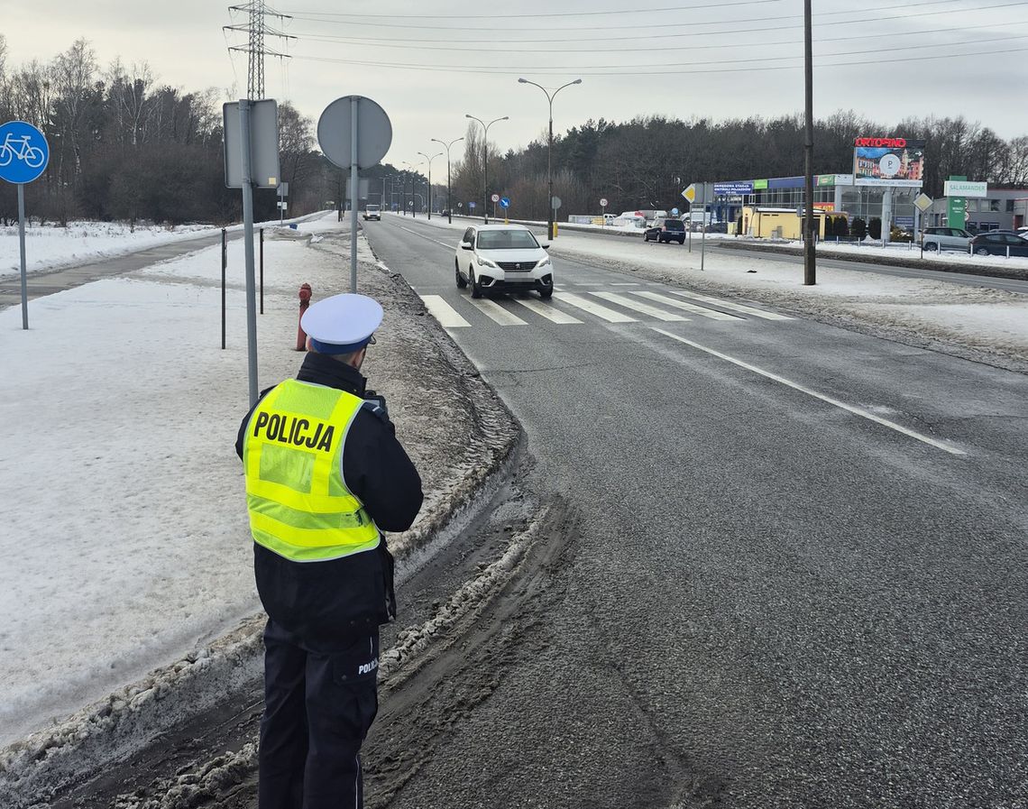 168 wykroczeń w jeden dzień. Policja sprawdziła kierowców przy pasach 168 wykroczeń w jeden dzień. Policja sprawdziła kierowców przy pasach