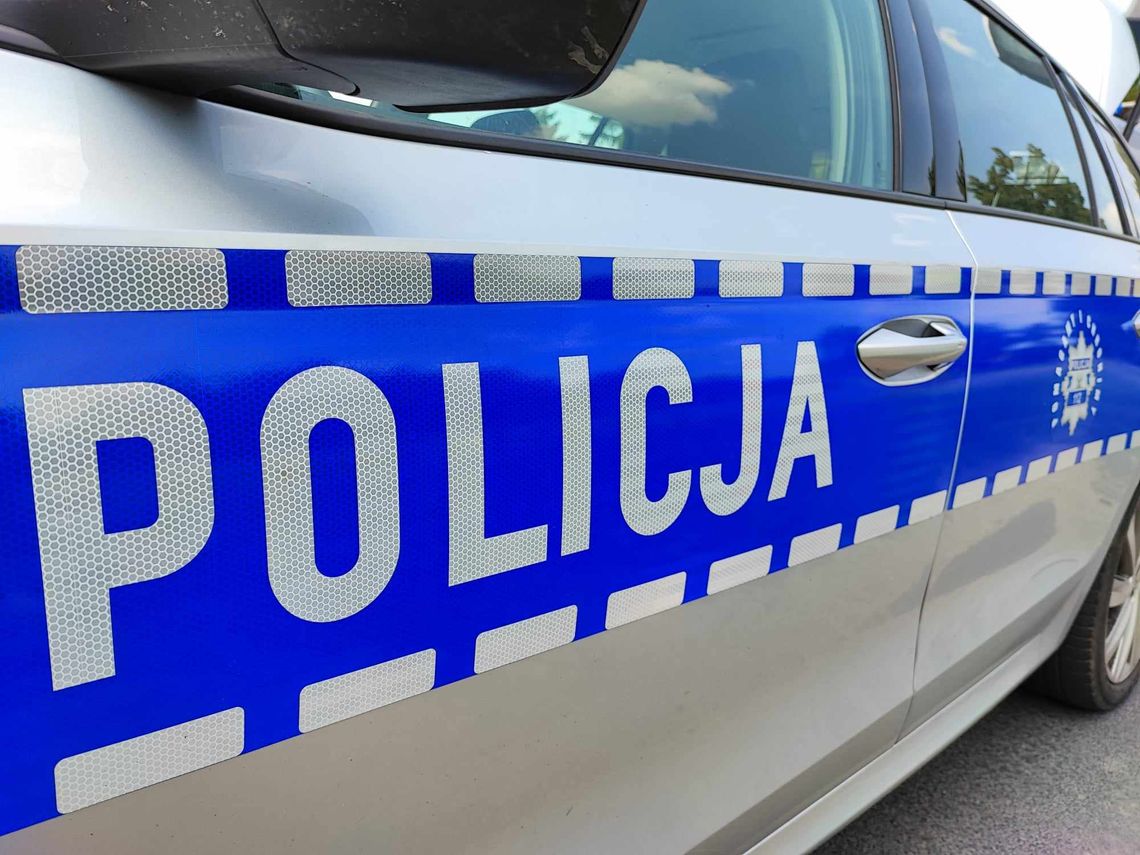 19-latka znieważyła i naruszyła nietykalność cielesną funkcjonariusza policji