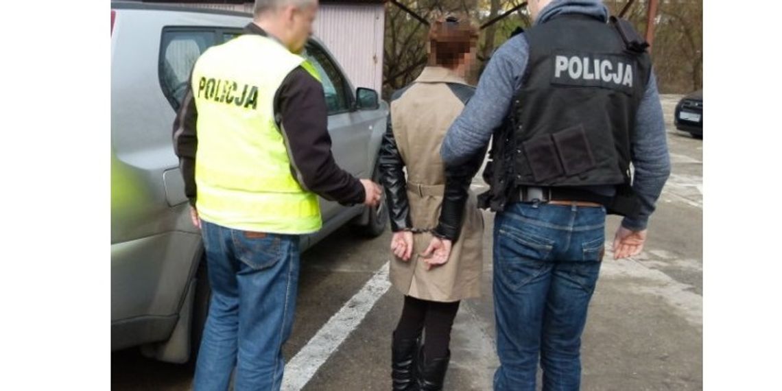 29-letnia piromanka z Włocławka aresztowana. Odpowie także za znieważenie ratownika medycznego, funkcjonariuszy oraz zniszczenie mienia