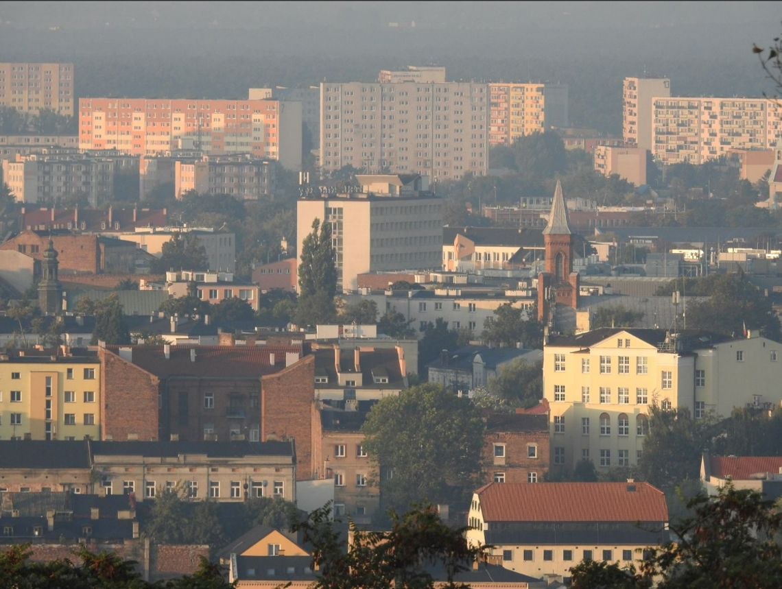 77 984 881,97 zł - tyle zalegają lokatorzy AZK w opłatach czynszowych. Ile spłacili w "programie oddłużanie" w 2022 r. ?
