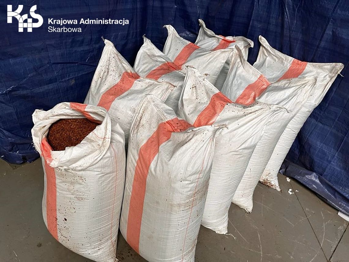 Akcja KAS w województwie. Wpadł włocławianin, mieszkanka pow. lipnowskiego i 40-latek z toruńskiego Akcja KAS w województwie. Wpadł włocławianin, mieszkanka pow. lipnowskiego i 40-latek z toruńskiego