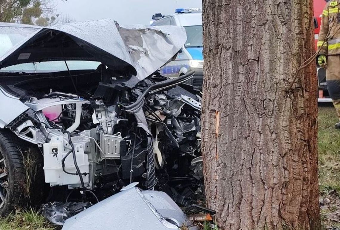 Alfa Romeo uderzyła w drzewo w Wistce Szlacheckiej. Ruch odbywa się wahadłowo