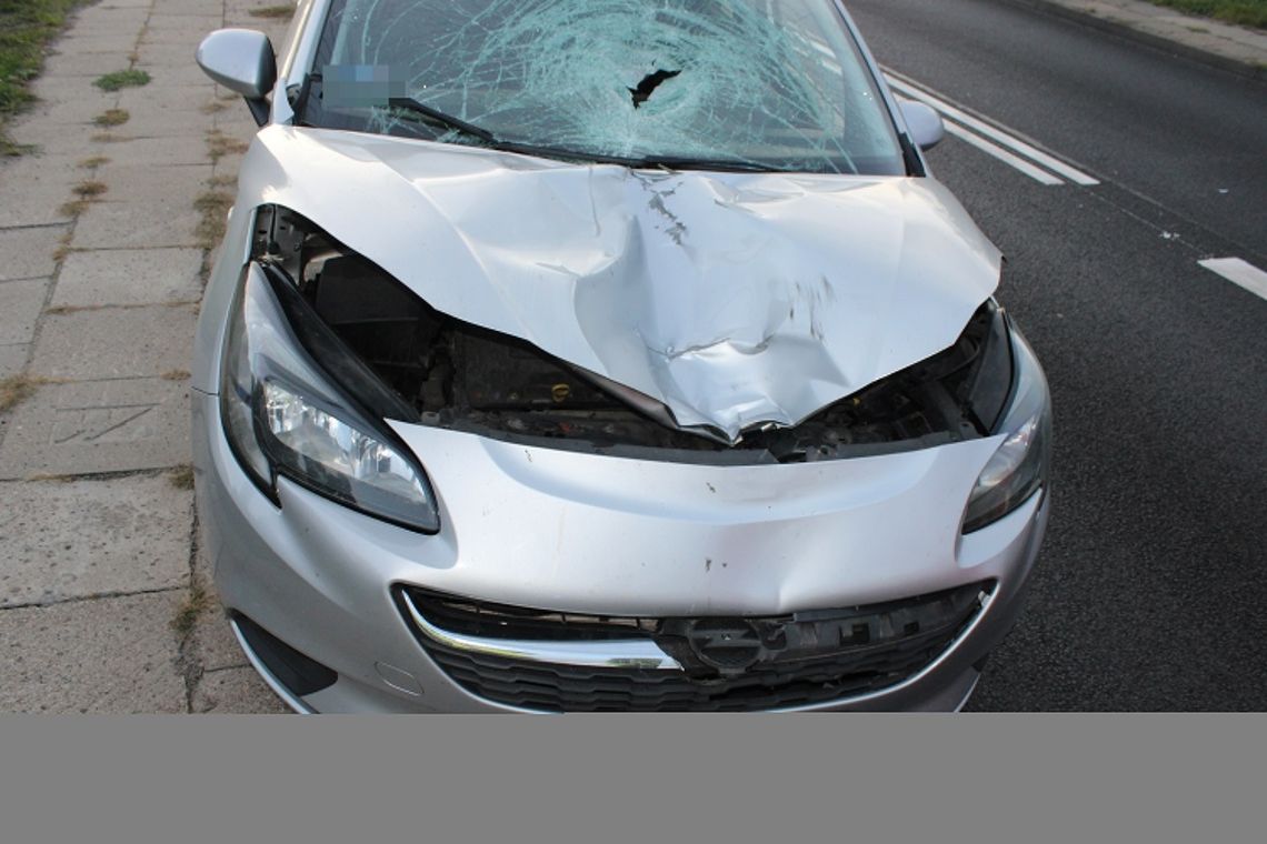 Apel policji do kierowców ws. śmiertelnego potrącenia na Płockiej