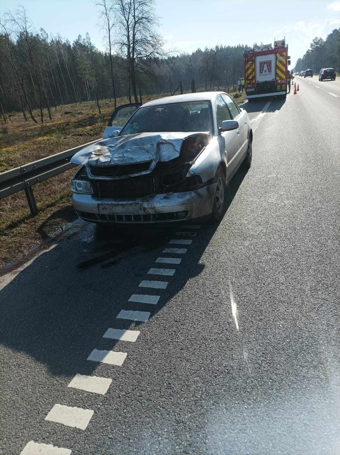 Audi uderzyło w jelenia, a zwierzę w rowerzystę. Cyklista trafił do szpitala