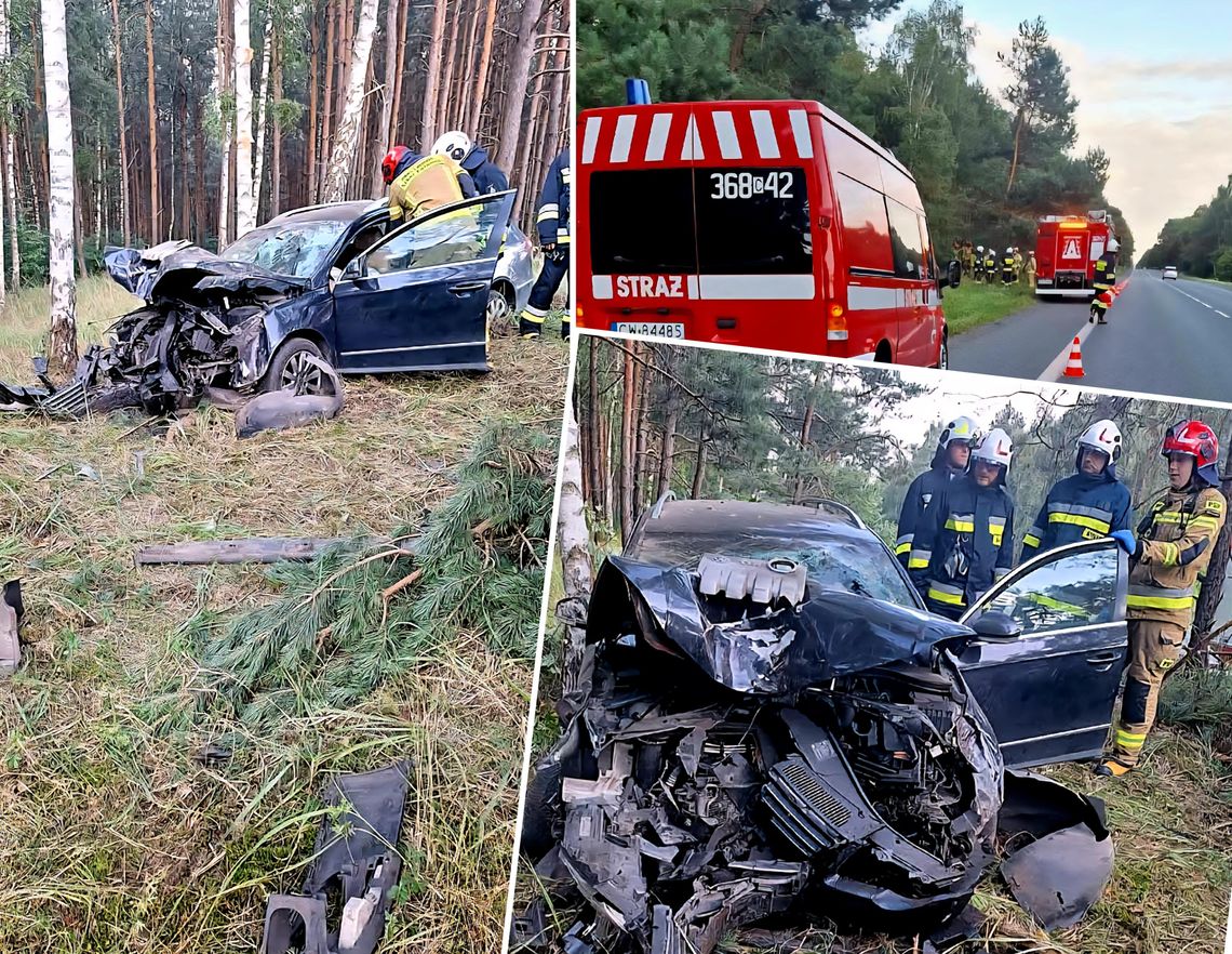 Wypadek w Warząchewce. Kierowca uderzył w drzewo