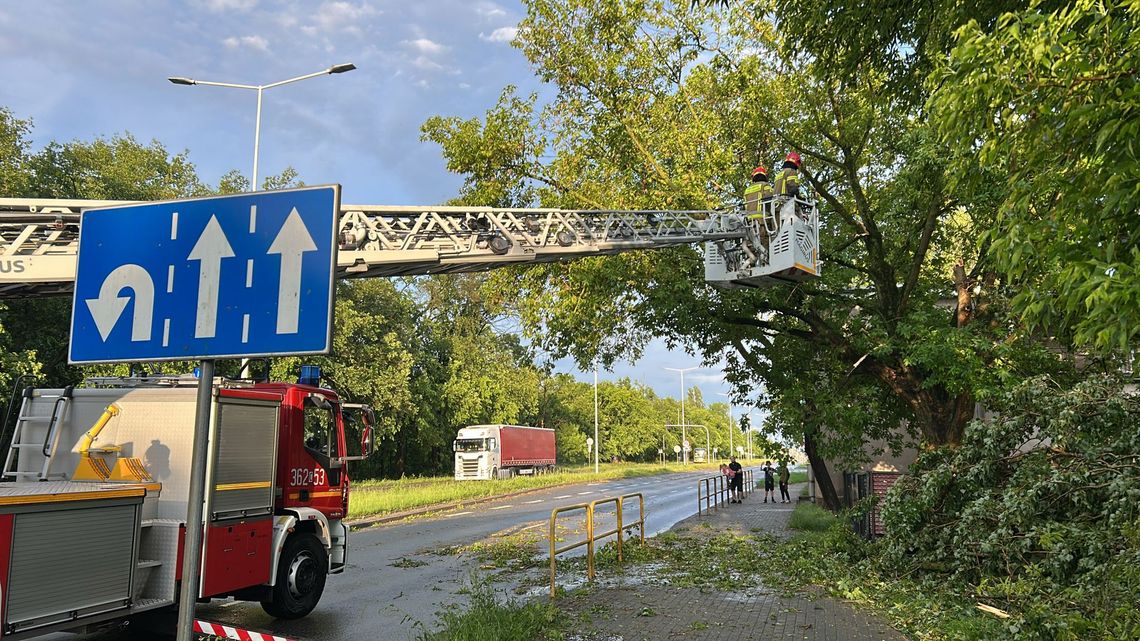 Blisko 80 interwencji strażaków po przejściu nawałnicy w powiecie włocławskim