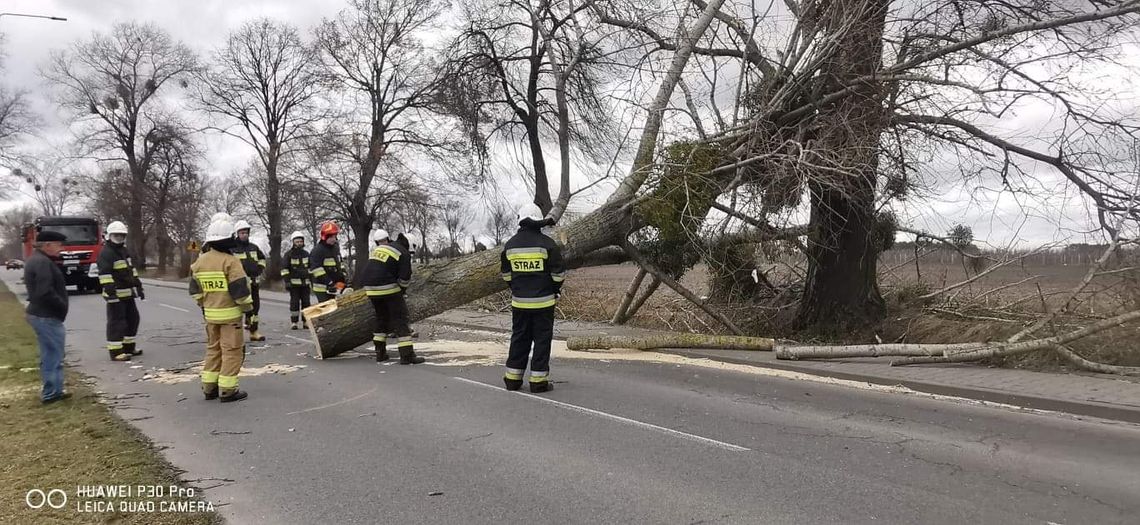Blisko 100 interwencji straży pożarnej po silnym wietrze, a przed nami kolejny "dynamiczny niż Antonia" [zdjęcia]