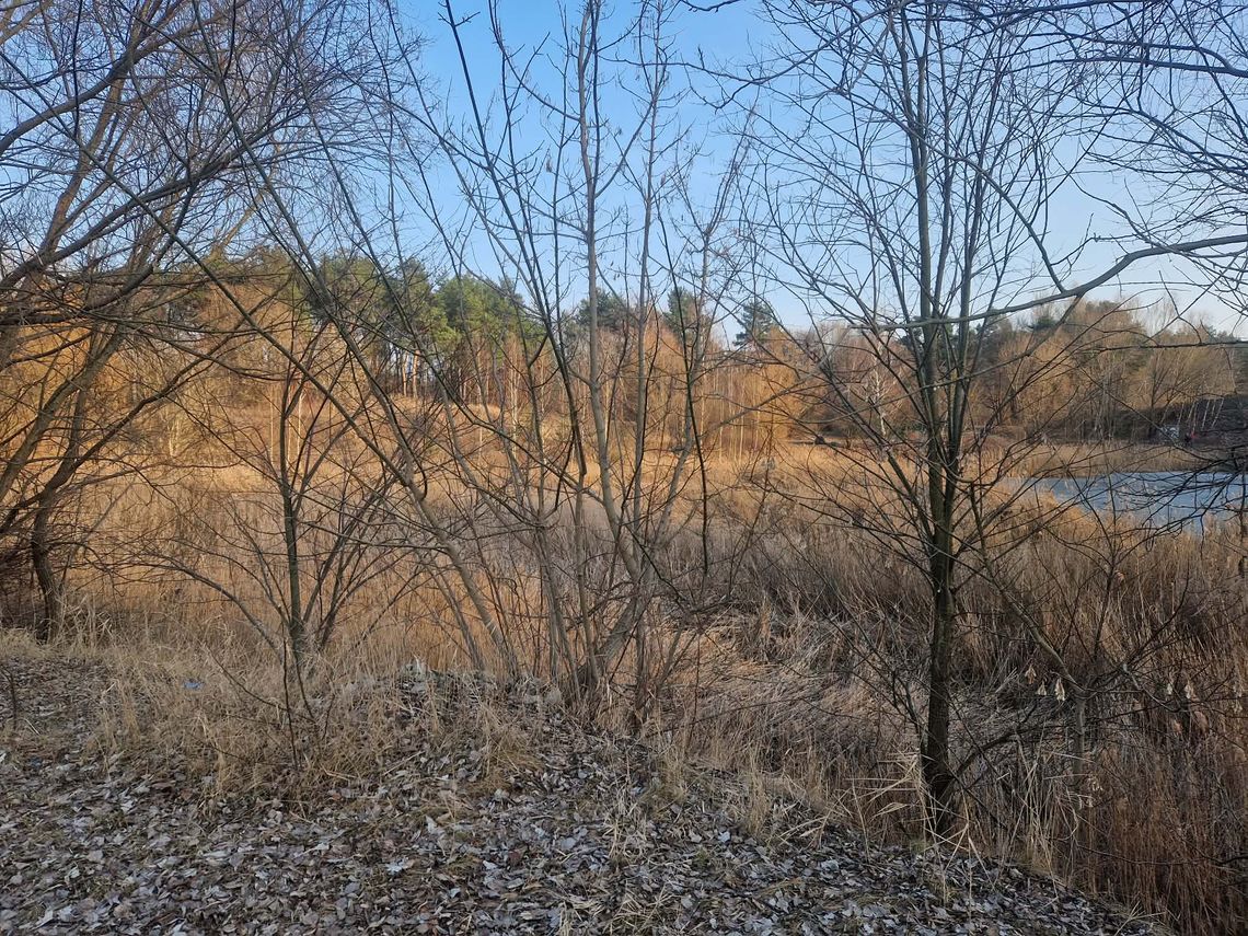 Boiska, pumptrack i tężnia. Tak ma wyglądać Park Grzywno we Włocławku