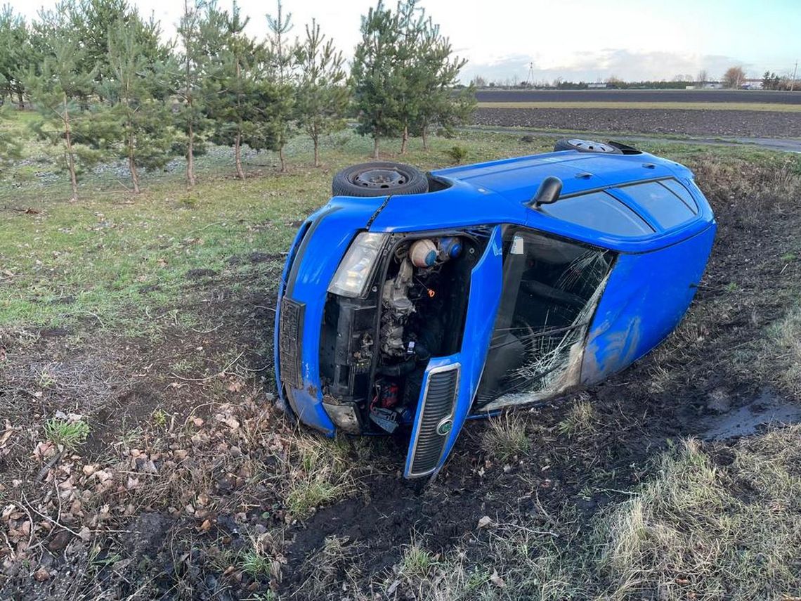 Chciała uniknąć kolizji ze zwierzęciem. Skoda wylądowała w rowie