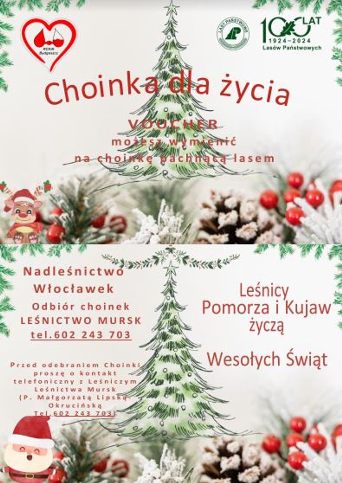 Choinka dla życia – jeśli oddasz krew otrzymasz świąteczne drzewko Choinka dla życia – jeśli oddasz krew otrzymasz świąteczne drzewko