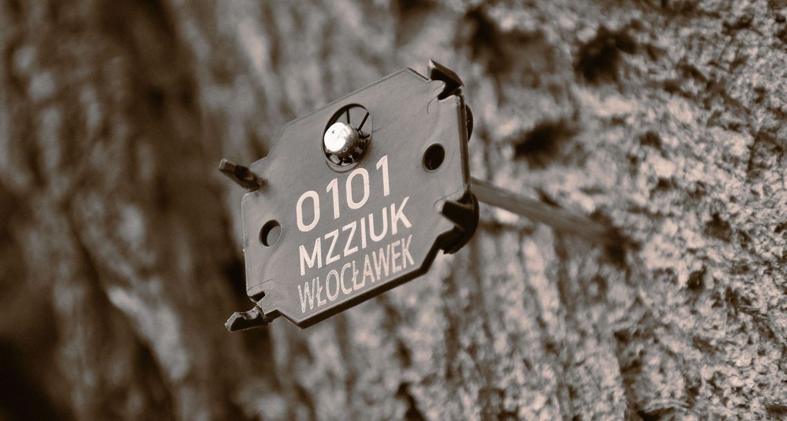 Co oznaczają tabliczki na drzewach w Parku im. Henryka Sienkiewicza? Chodzi o identyfikację