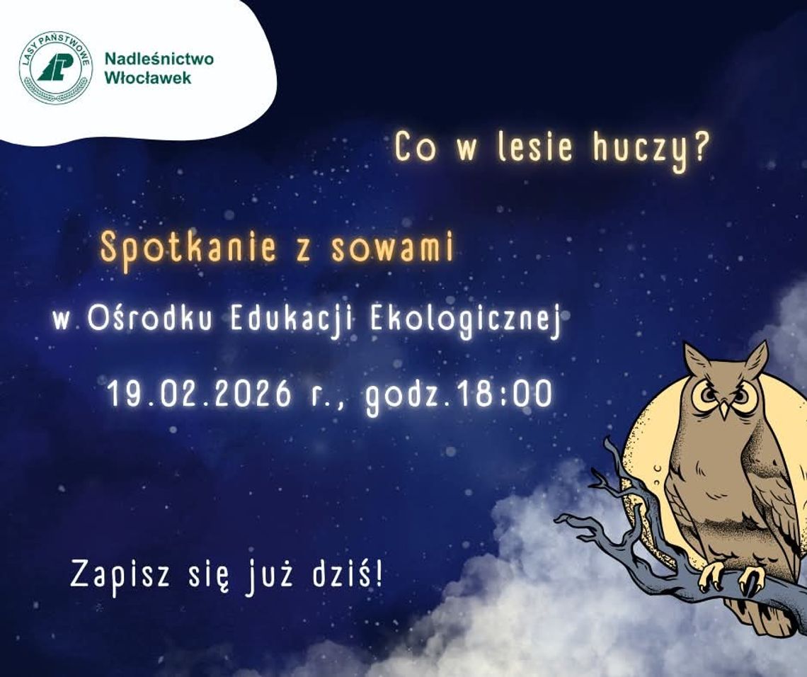 "Co w lesie huczy?” Nadleśnictwo Włocławek zaprasza na spotkanie z sowami