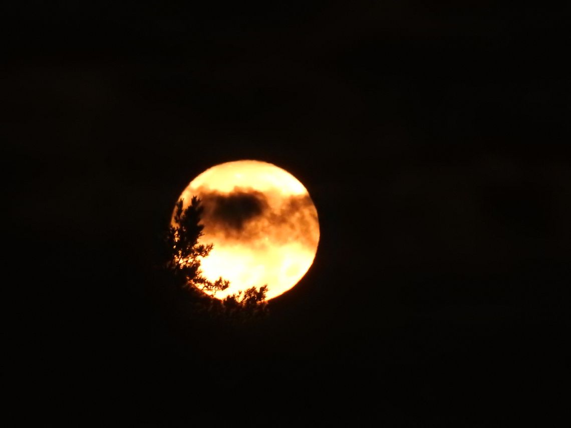 Czerwona Pełnia Księżyca - ostatni tegoroczny superksiężyc