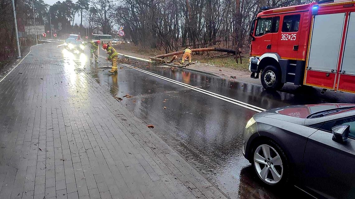 Drzewo przewrociło się na pojazd jadący ul. Lipnowską, w którym podróżowały dwie osoby
