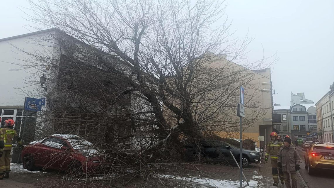 Drzewo przewróciło się na zaparkowane auta i budynek przy ul. Przedmiejskiej