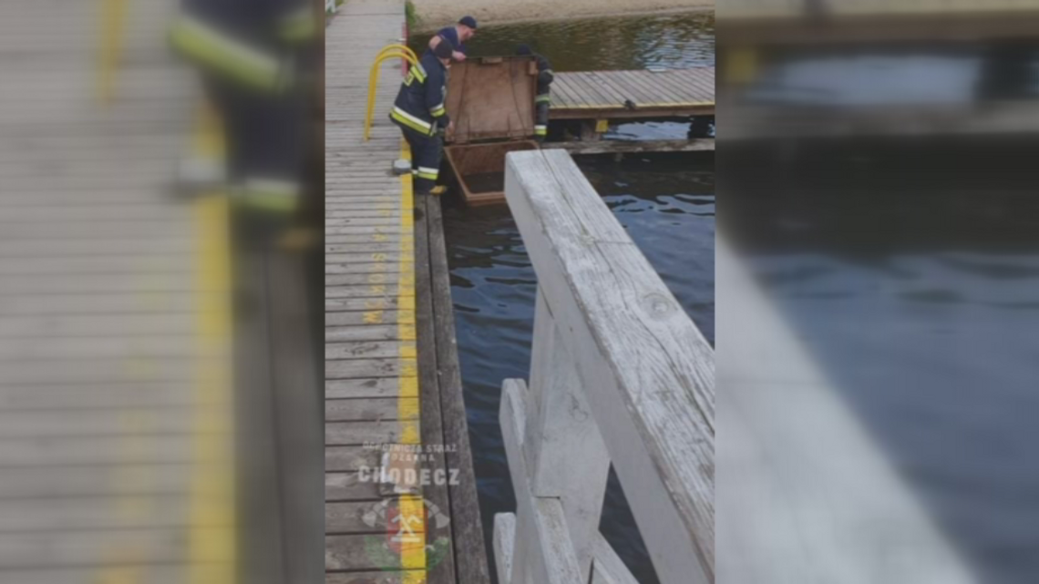 Dwóch nieletnich wrzuciło kontener ze śmieciami do jeziora