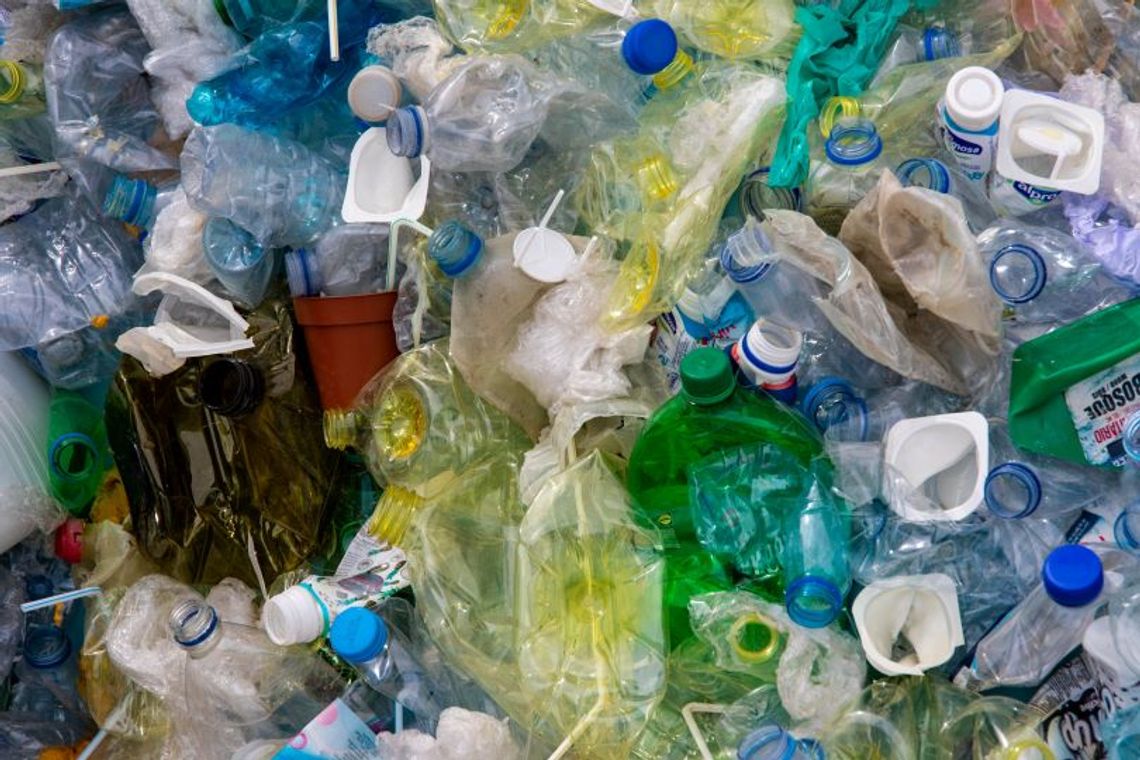 Dzieci z Włocławka i regionu zebrały ponad 500 000 butelek do recyklingu