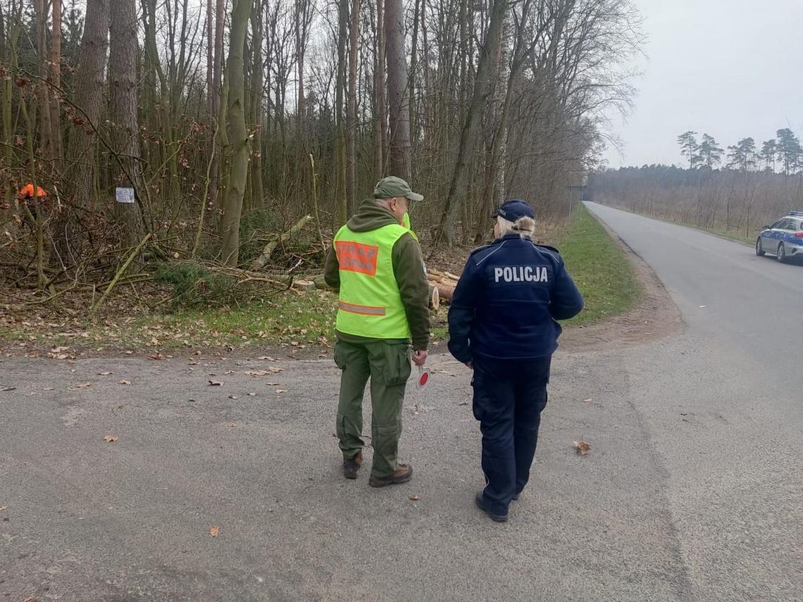 Dzielnicowi wraz z strażnikami Straży Leśnej z Włocławka patrolowali lasy w gminie Osięciny