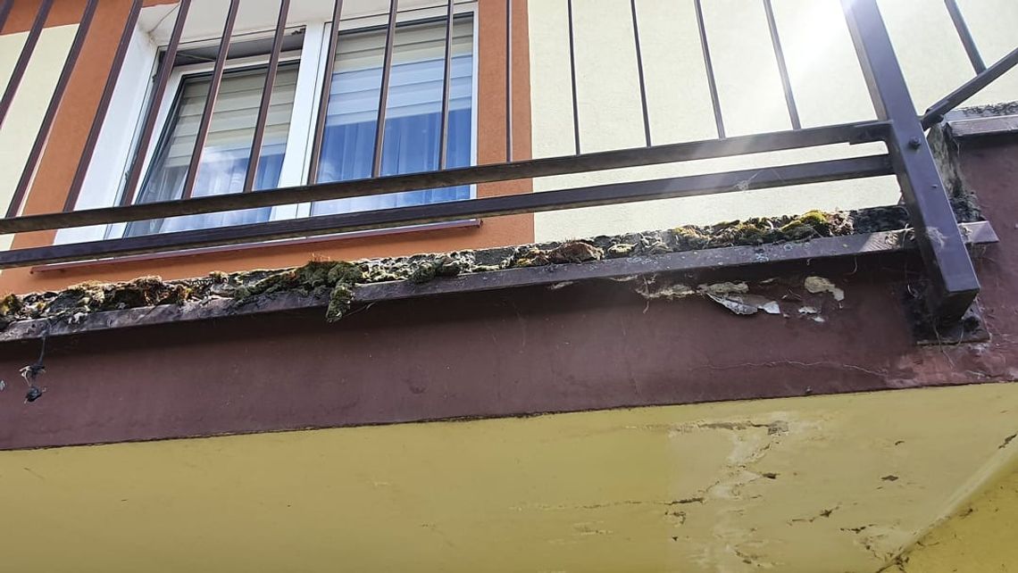 Fatalny stan tarasów bloków przy Toruńskiej doczeka się remontu. Ogłoszono przetarg