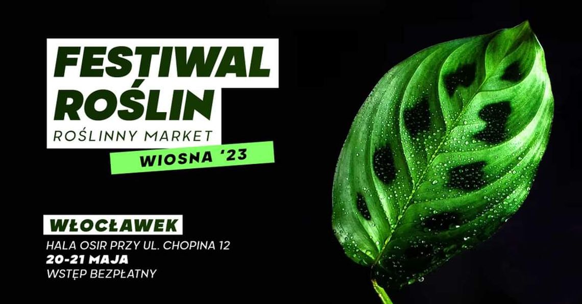 Festiwal Roślin znów zawita we Włocławku. Nowe gatunki roślin i ceny od 5 zł Festiwal Roślin znów zawita we Włocławku. Nowe gatunki roślin i ceny od 5 zł