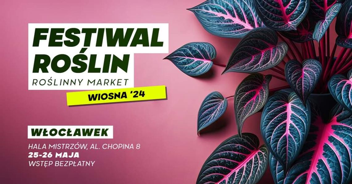 Festiwal Roślin znów zawita we Włocławku