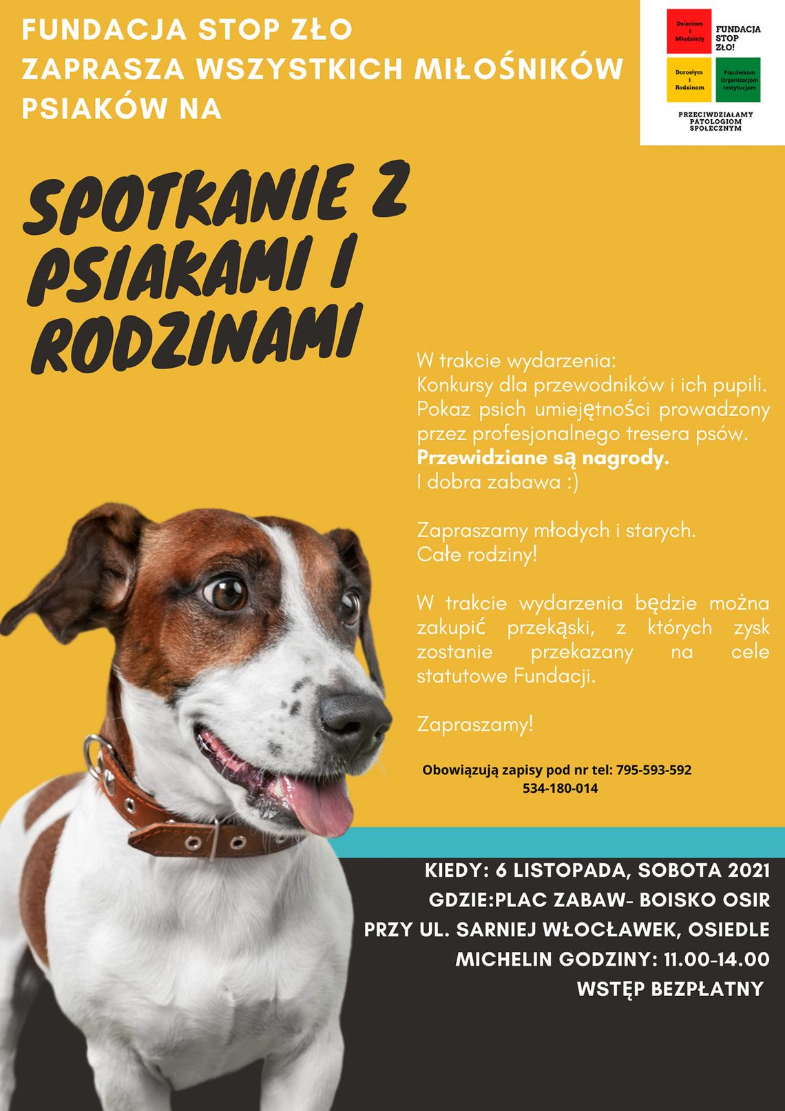 Fundacja Stop Zło organizuje spotkanie z psiakami i rodzinami