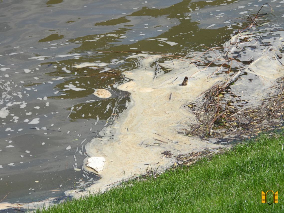 Główny Inspektor Sanitarny apeluje: unikaj kąpieli i sportów wodnych w Wiśle od Warszawy w stronę Gdańska! Główny Inspektor Sanitarny apeluje: unikaj kąpieli i sportów wodnych w Wiśle od Warszawy w stronę Gdańska!