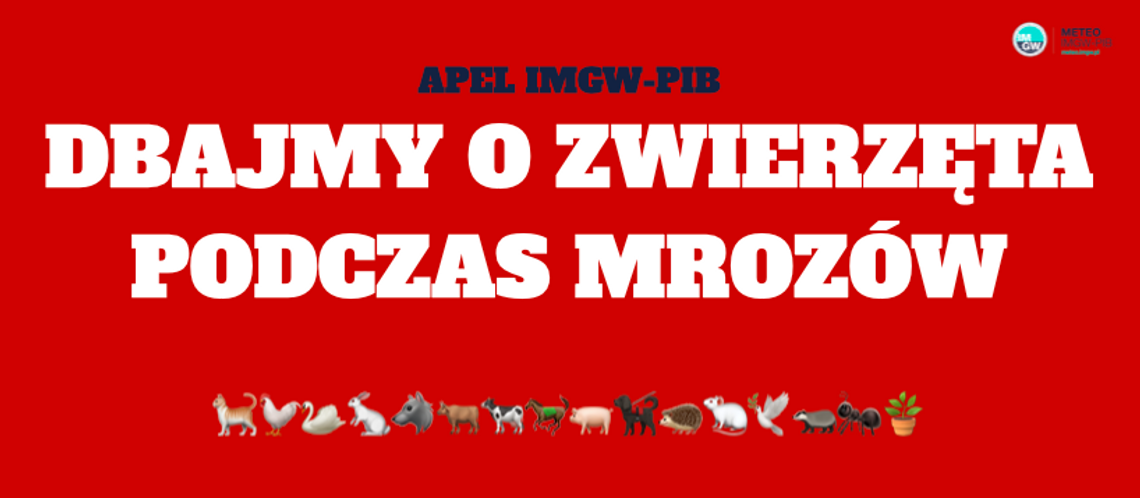 IMGW apeluje: "Dbajmy o zwierzęta podczas mrozów"