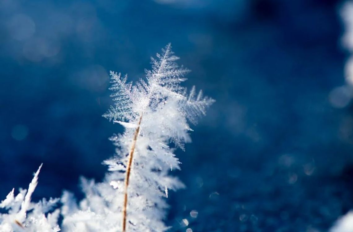 IMGW ostrzega przed oblodzeniem. W nocy ma być do -4°C