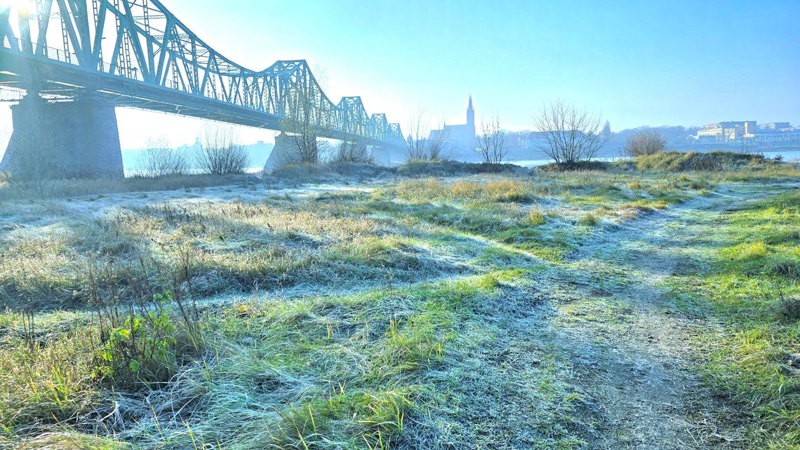 IMGW ostrzega: przymrozki we Włocławku i regionie. Spadki temperatury nawet do -7°C