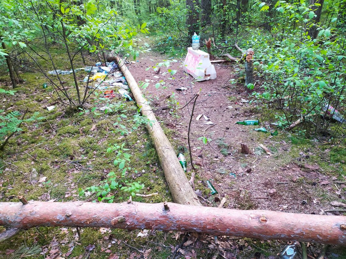 Imprezują w lesie za kościołem św. Józefa. Ścięli nawet sporych rozmiarów drzewo żeby mieć na czym siedzieć Imprezują w lesie za kościołem św. Józefa. Ścięli nawet sporych rozmiarów drzewo żeby mieć na czym siedzieć