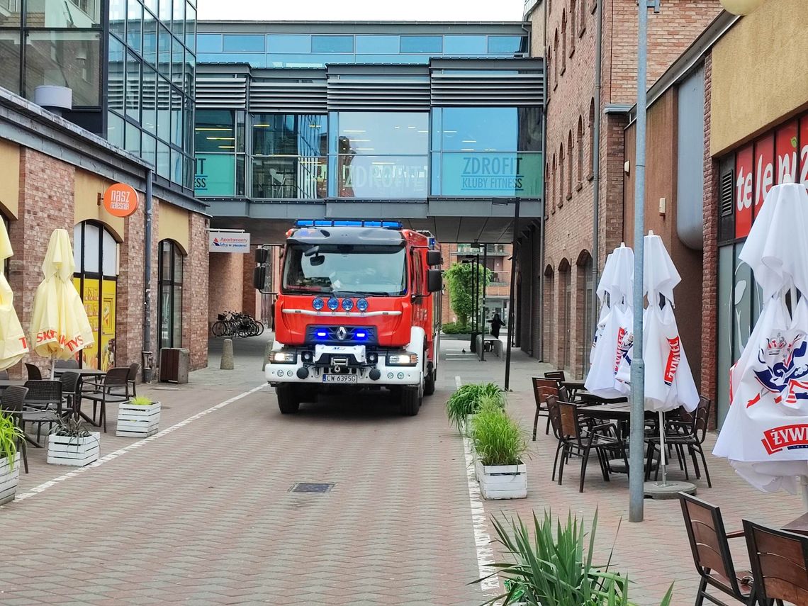 Interwencja strażaków we Wzorcowni. Przepaliło się przyłącze energetyczne