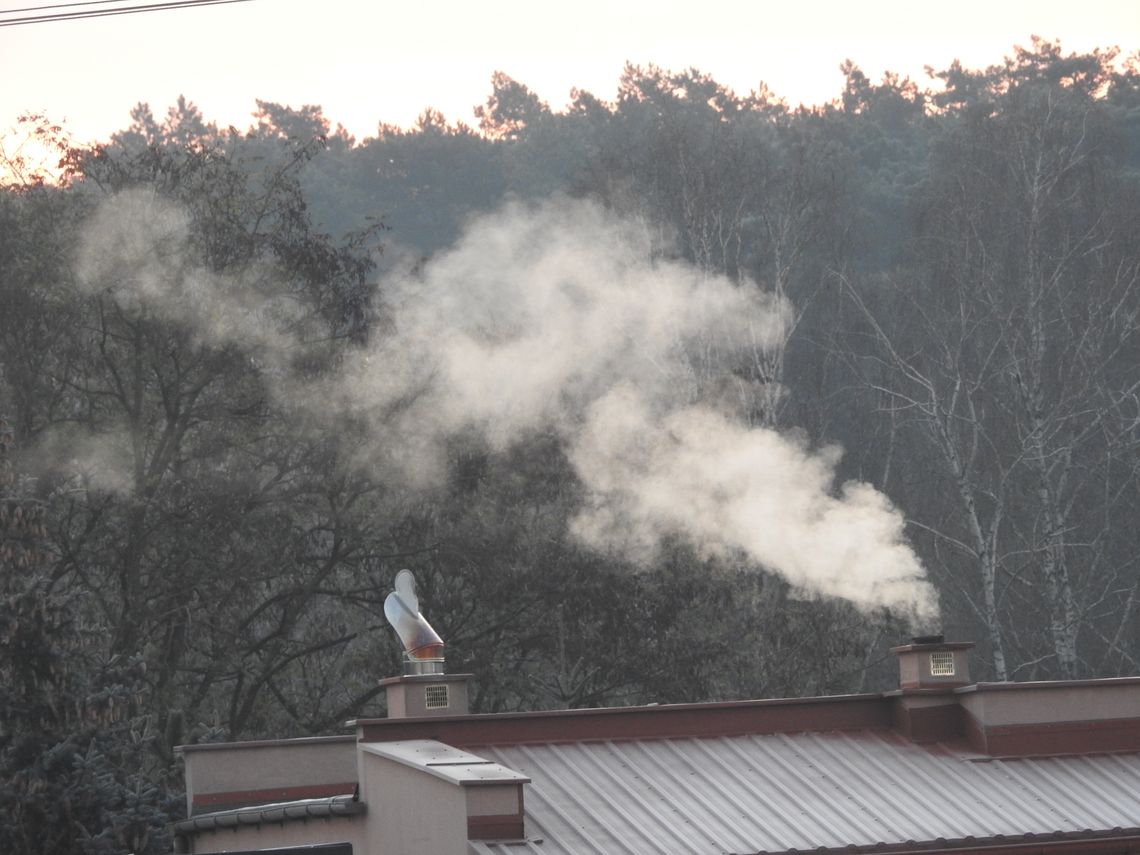 Jakość powietrza coraz gorsza. Ryzyko przekroczenia poziomu benzo(a)pirenu