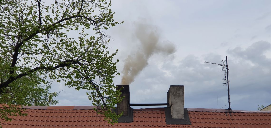"Kaczyński pozwolił palić czym się chce i on żadnych mandatów nie przyjmie." - sąsiedzki incydent we Włocławku, który może być wkrótce powszechny