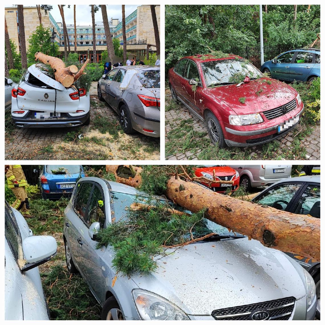 Kilkanaście aut przygniecionych przez drzewa w Wieńcu. Na miejscu OSP Brześć i Machnacz