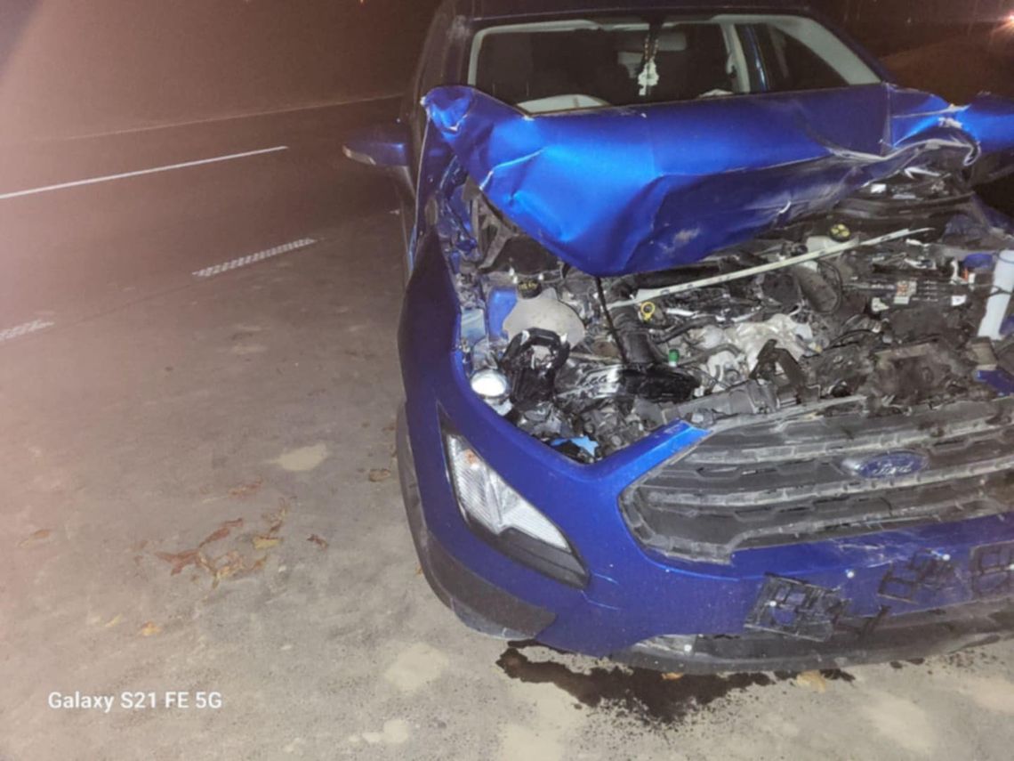 Kolejne zdarzenie drogowe z udziałem zwierzęcia. Policja apeluje o ostrożność