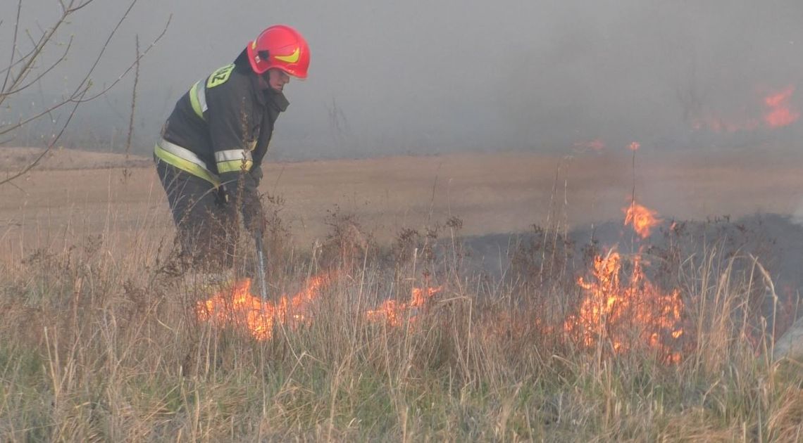 Kolejny pożar, nieopodal ul. Kruszyńskiej. Niemalże w tym samym miejscu co wczoraj