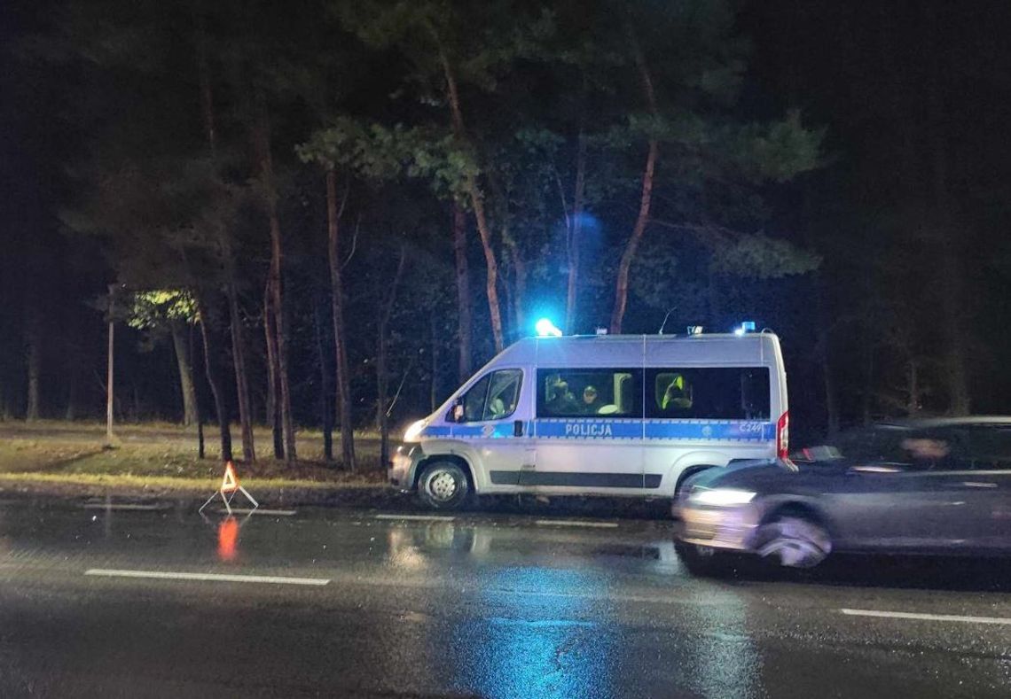 Kolizja w Bogusławicach. Kierujący uderzył w sarnę, która wbiegła na jezdnię