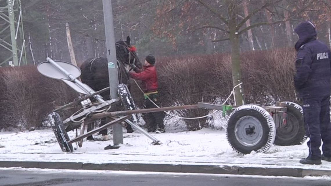 Koń ciągnący za sobą pusty wóz pędził ulica Kruszyńską!