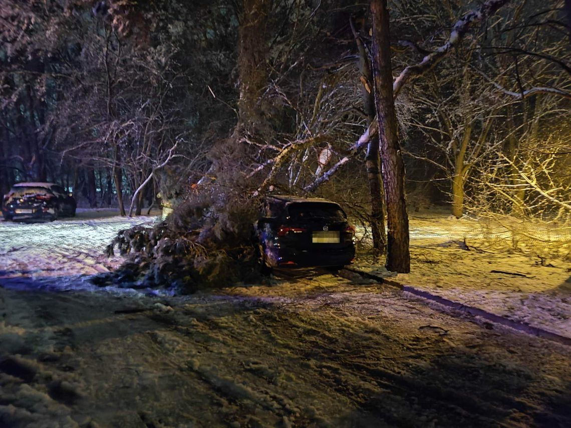 Konar drzewa spadł na samochód na os. Zazamcze