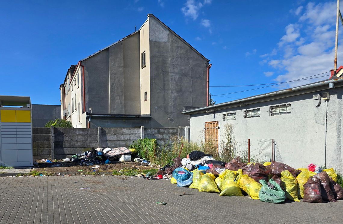 Koniec bałaganu przy Kaliskiej? Pojemniki zniknęły, zostały worki Koniec bałaganu przy Kaliskiej? Pojemniki zniknęły, zostały worki