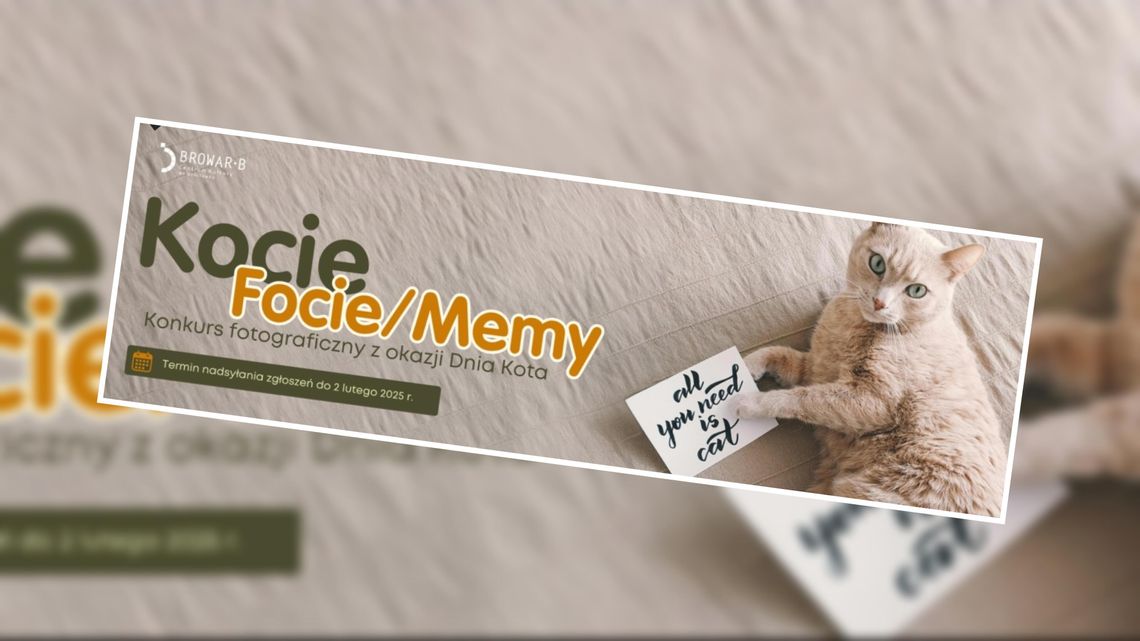 Konkurs fotograficzny "Kocie Focie. Kocie Memy" z okazji Dnia Kota