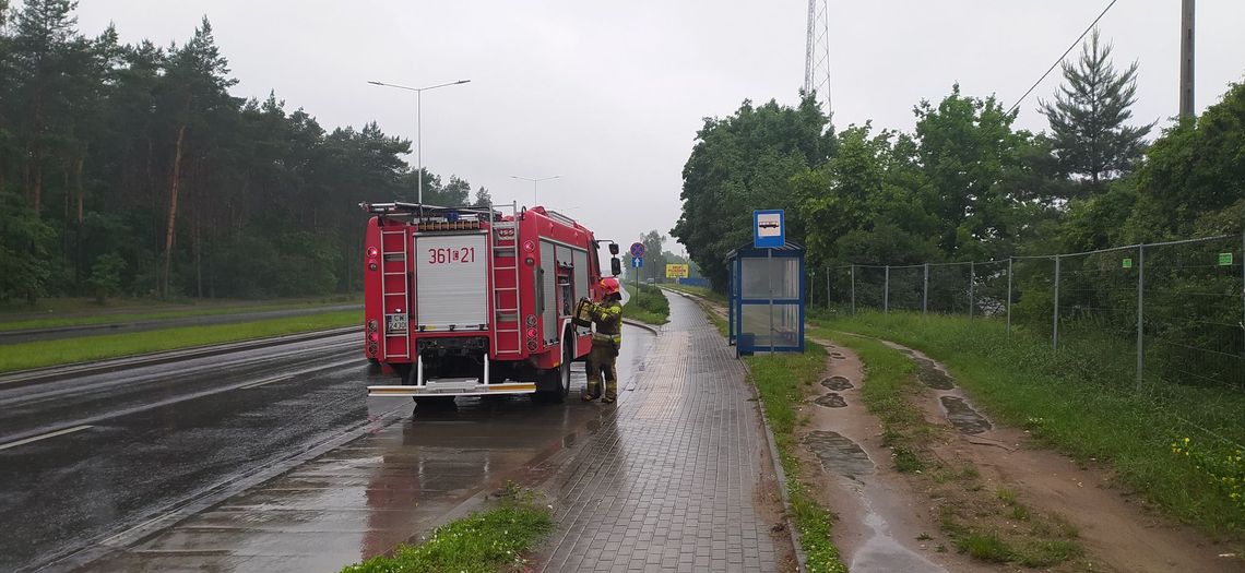 Kot utknął w studzience. Ratowali go strażacy, strażnicy, służby drogowe i kanalizacyjne