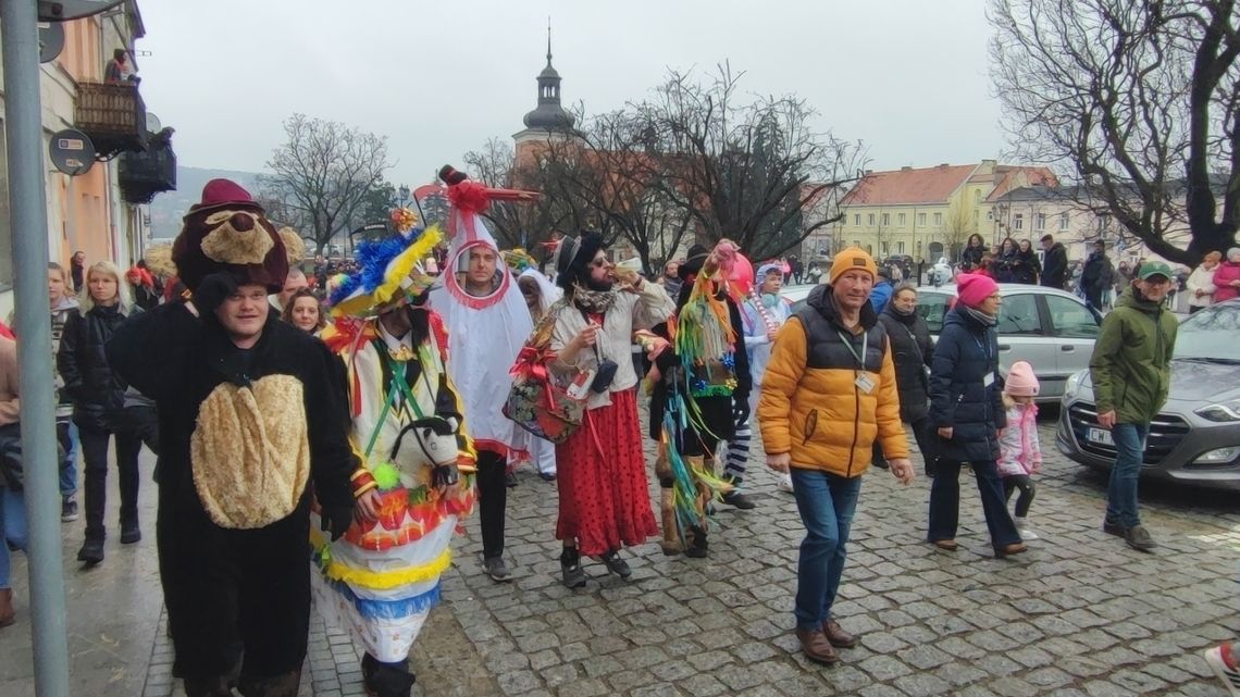 Koza przeszła przez Włocławek. Korowód Zapustny 2024
