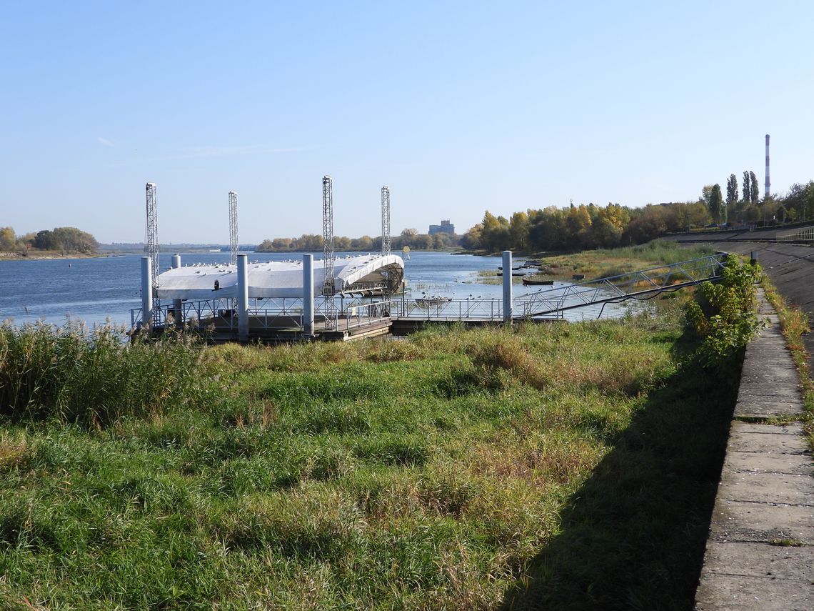 Krzaki sięgające 3 metrów wysokości w okolicach pływającej sceny. Wyjątkowo niski stan wody na Wiśle Krzaki sięgające 3 metrów wysokości w okolicach pływającej sceny. Wyjątkowo niski stan wody na Wiśle