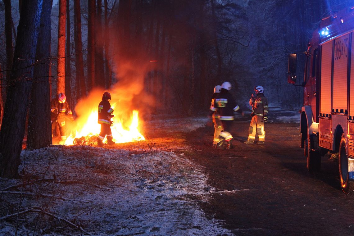 Ktoś podpalił śmieci w lesie pod Kowalem, ogień gasiły trzy jednostki straży